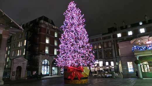 The Christmas Tree In Covent Garden.