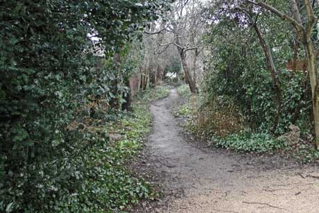 One of the earth tracks by the side of Hampstead Heath.