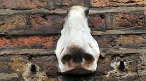 The large white nose in Meard Street.