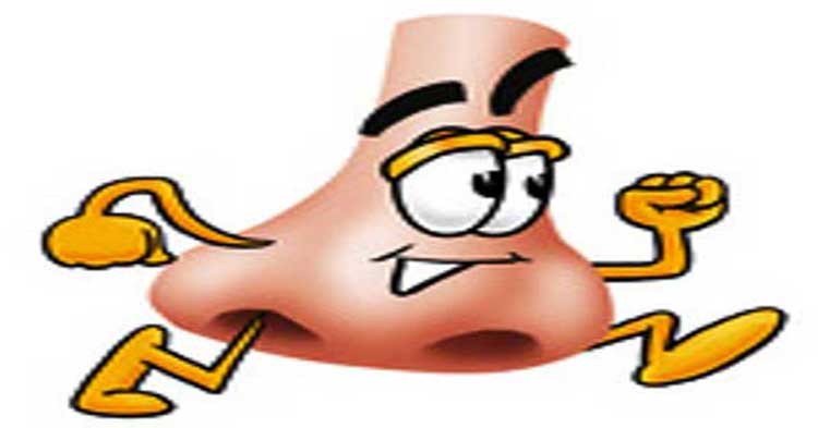 A cartoon of a nose running.