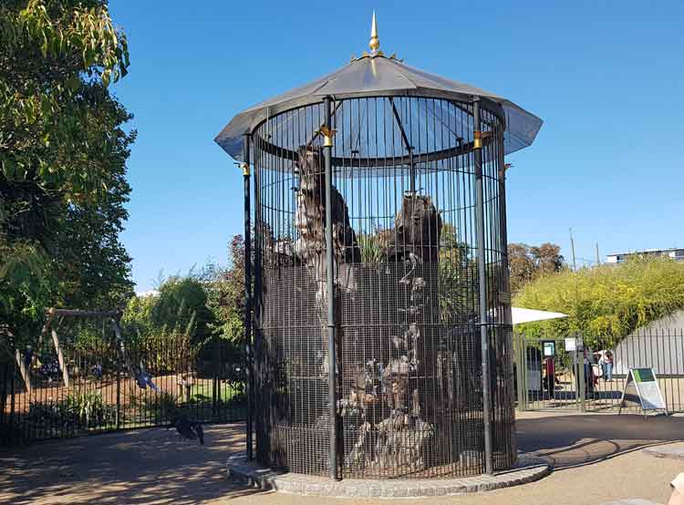 The Elfin Oak within its protective iron cage.