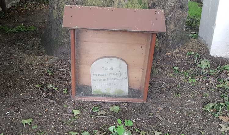 The tombstone of Giro in its wooden and perspex case.