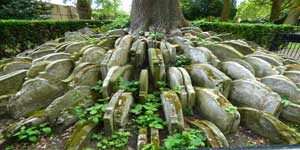 The Hardy Tree, St Pancras Old Church Burial Ground.