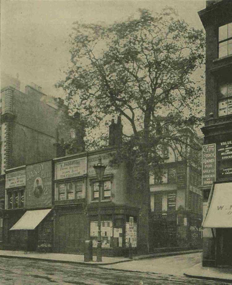 A photograph of the tree and the shops at the corner in 1901.